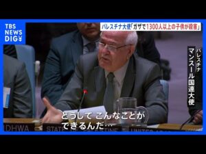【速報】パレスチナ大使、安保理会議中にガチ泣き