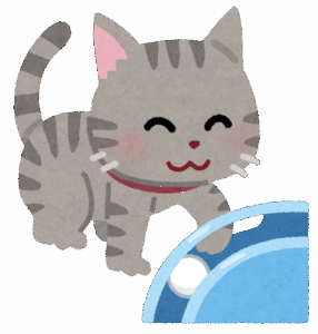 【画像】猫カフェ行って来たったから写真貼ってくぞ