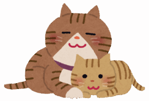 【質問】『ネコの幸せ』ってなんなんや？