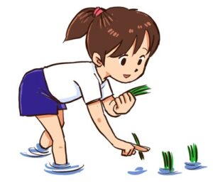 【学校での「田植え体験」は必要か？】「大変さを植えつけないで」「経験は大切」とSNSで賛否両論…ご近所や保護者からはクレームも…