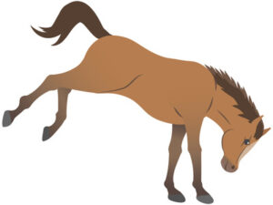 【8歳のサラブレッド馬が…】調教中に48歳男性が後ろ脚で蹴られ死亡…当時ロープを持ち馬を歩かせる調教中