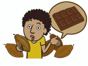 【カカオ豆相場が急落？！】高くて誰も買えないためwww