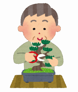 40代独身やけど盆栽始めようか迷う