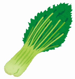 水菜って野菜は一体何に使うのが正解なんだよ