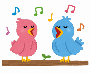 早朝の謎の鳥「ｱｯｵｳｱｯｱｯｵｳ ｱｯｵｳｱｯｱｯｵｳ」